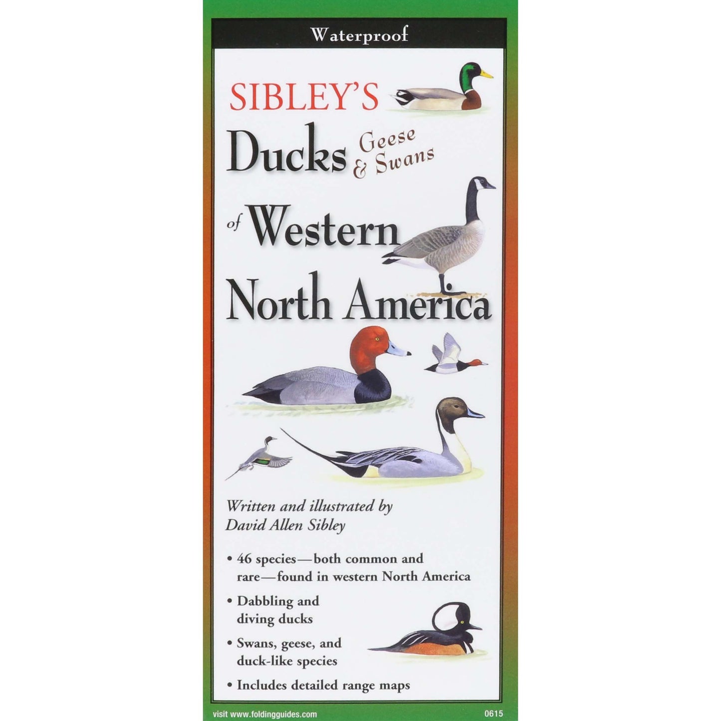 Paradise Clay FGG082 Sibley's Ducks, Geese,& Swans of Western N.A. - Folding Pocket Guide