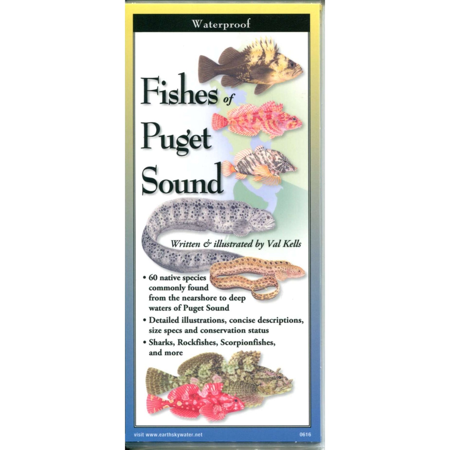 Paradise Clay FGG097 Fishes of Puget Sound - Folding Pocket Guide