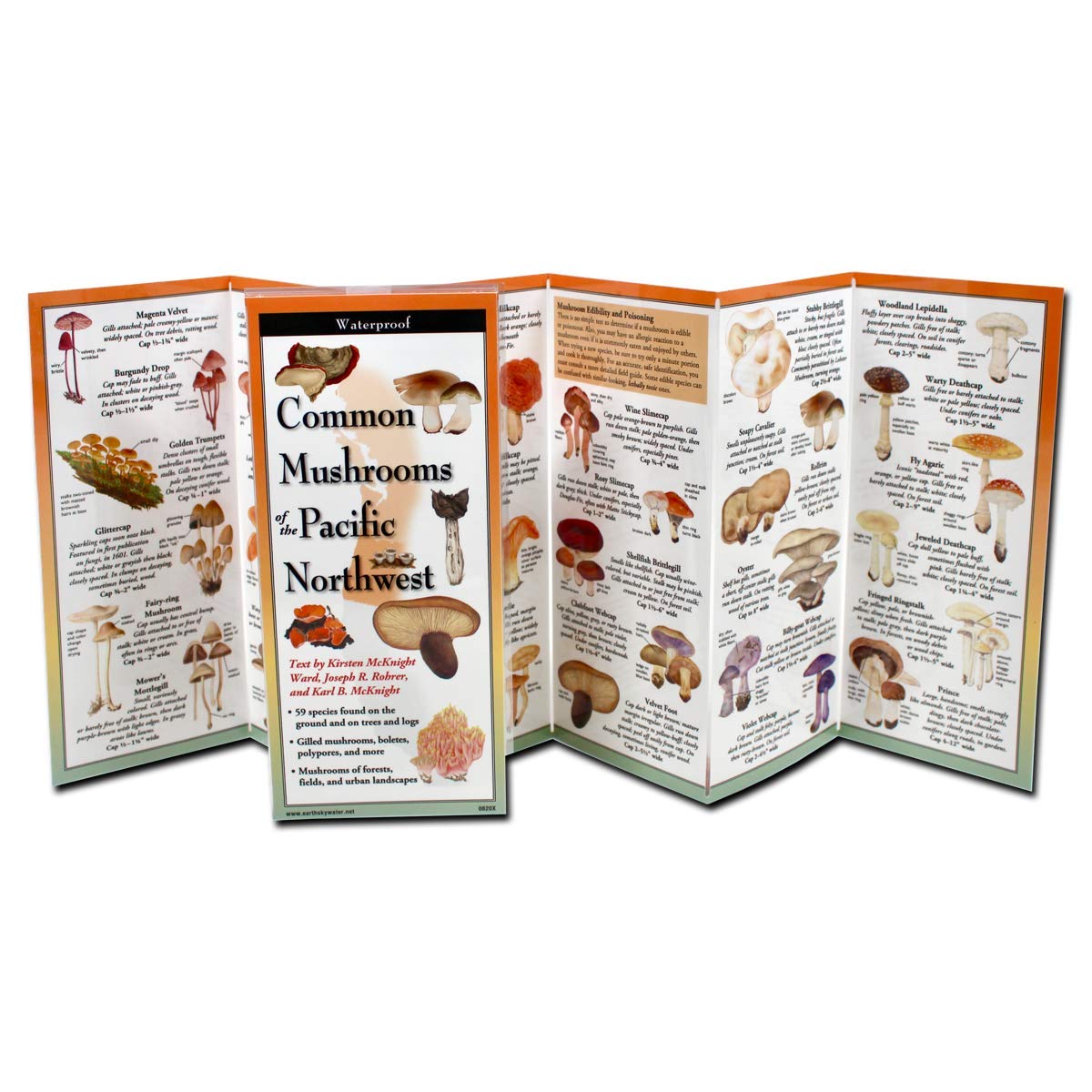 Paradise Clay FGG100 Common Mushrooms of the Pacific Northwest - Folding Guide
