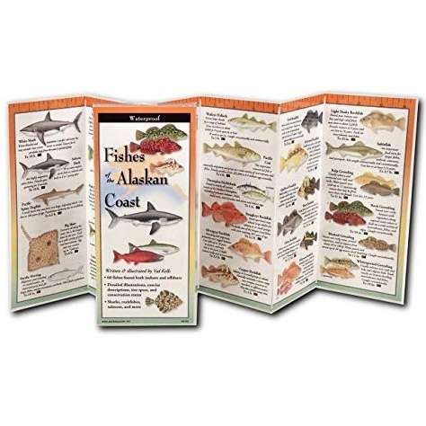 Paradise Clay FGG108 Fishes of the Alaskan Coast - Book