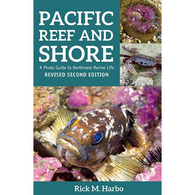 Paradise Clay HPC158 Pacific Reef & Shore: A Photo Guide to Northwest Marine Life from Alaska to Northern California 2nd Edition - Book