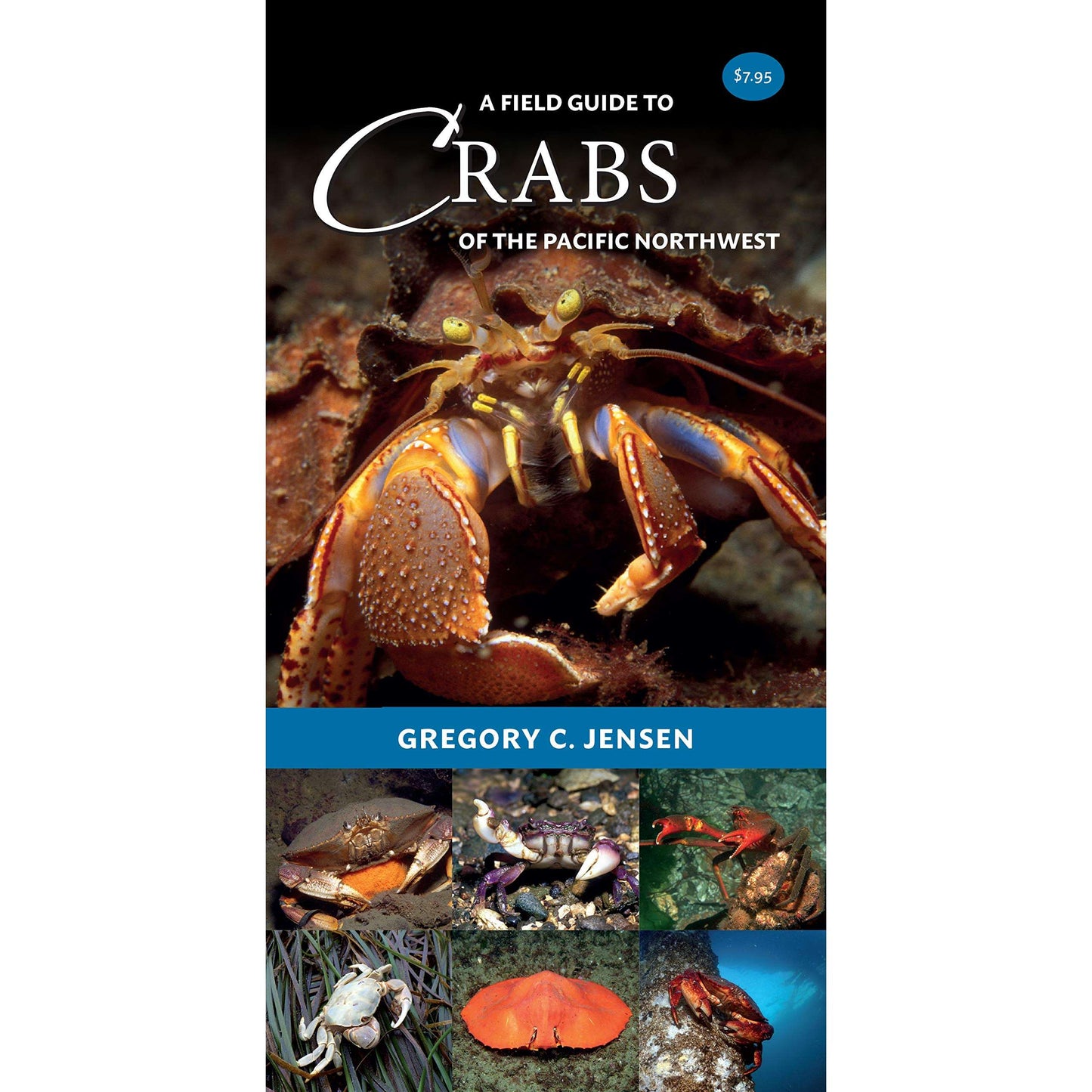 Paradise Clay HPC163 A Field Guide to Crabs of the Pacific Northwest - Folding Pocket Guide