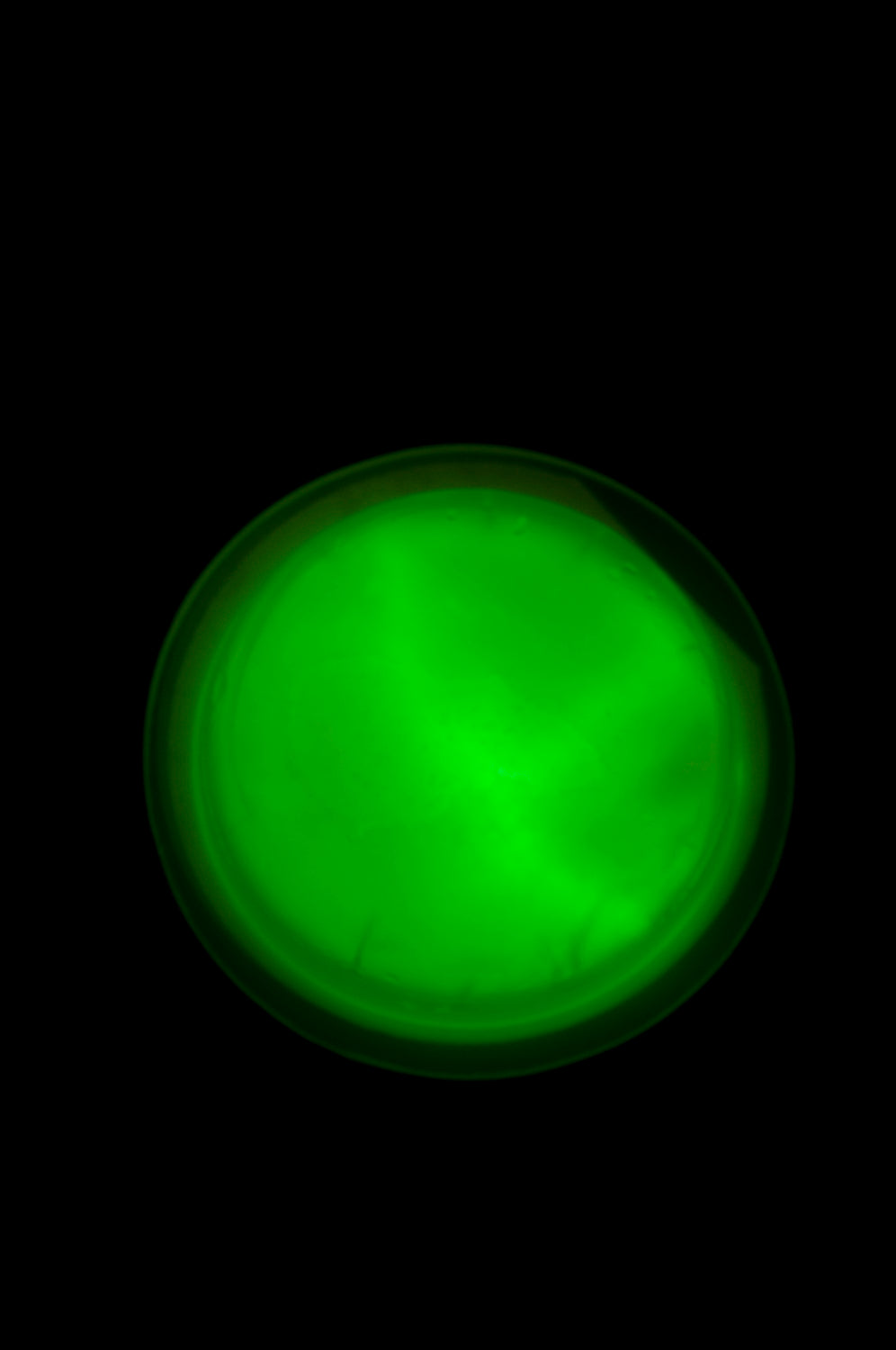 AbilityOne 6260013115086 LC Industries Cyalume Lightshape Circle 3" Green10 ea/10bx/cs 6260013315086 - x 3" Diameter - Green