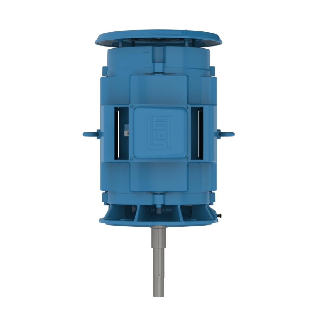 WEG 06036OT3E326JPV 60HP,3600RPM,326JP Frame,CCP-ODP-JP-FL-Vertical (1 EA)