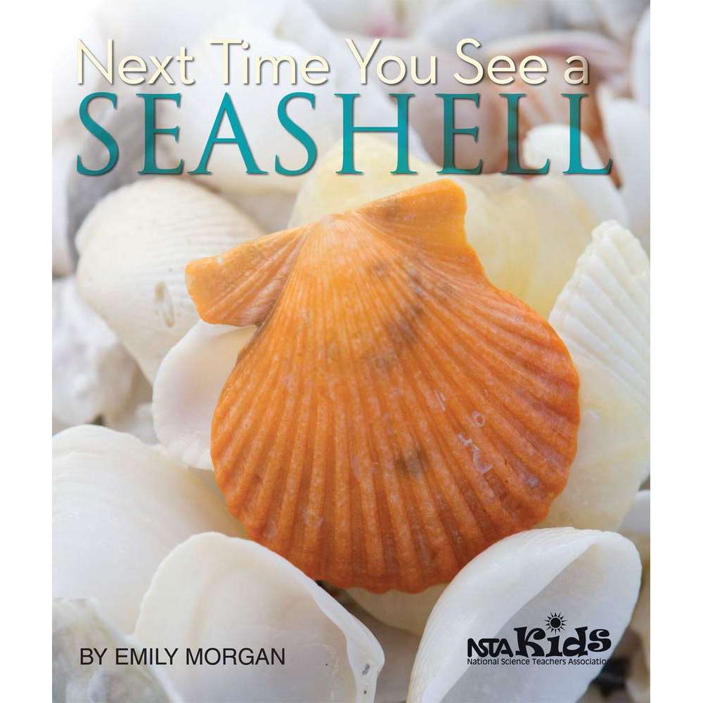 Paradise Clay IPG095 Next Time You See a Seashell - Book
