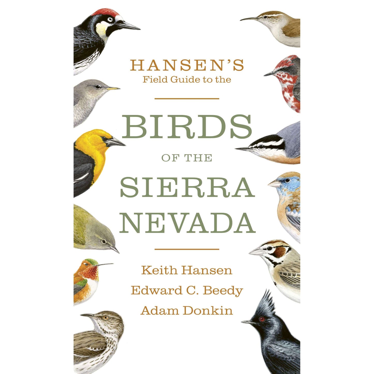 Paradise Clay IPS183 Hansen's Field Guide to the Birds of the Sierra Nevada - Book