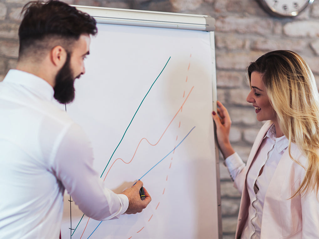 MasterVision EA2300045 Non-Magnetic Aluminum Framed Economic Easel