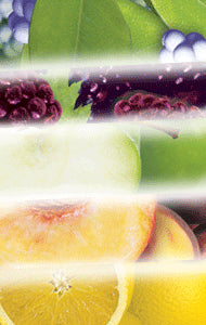 Chase Products 5319 All Fruit Scents Metered Air Fresheners ( Pack Of - 12 )