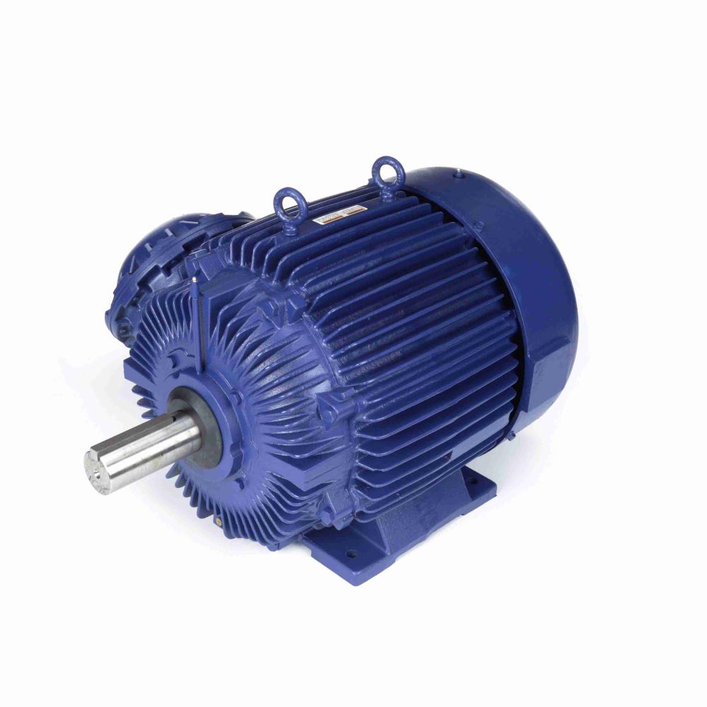 Marathon E574 Explosion Proof Motors