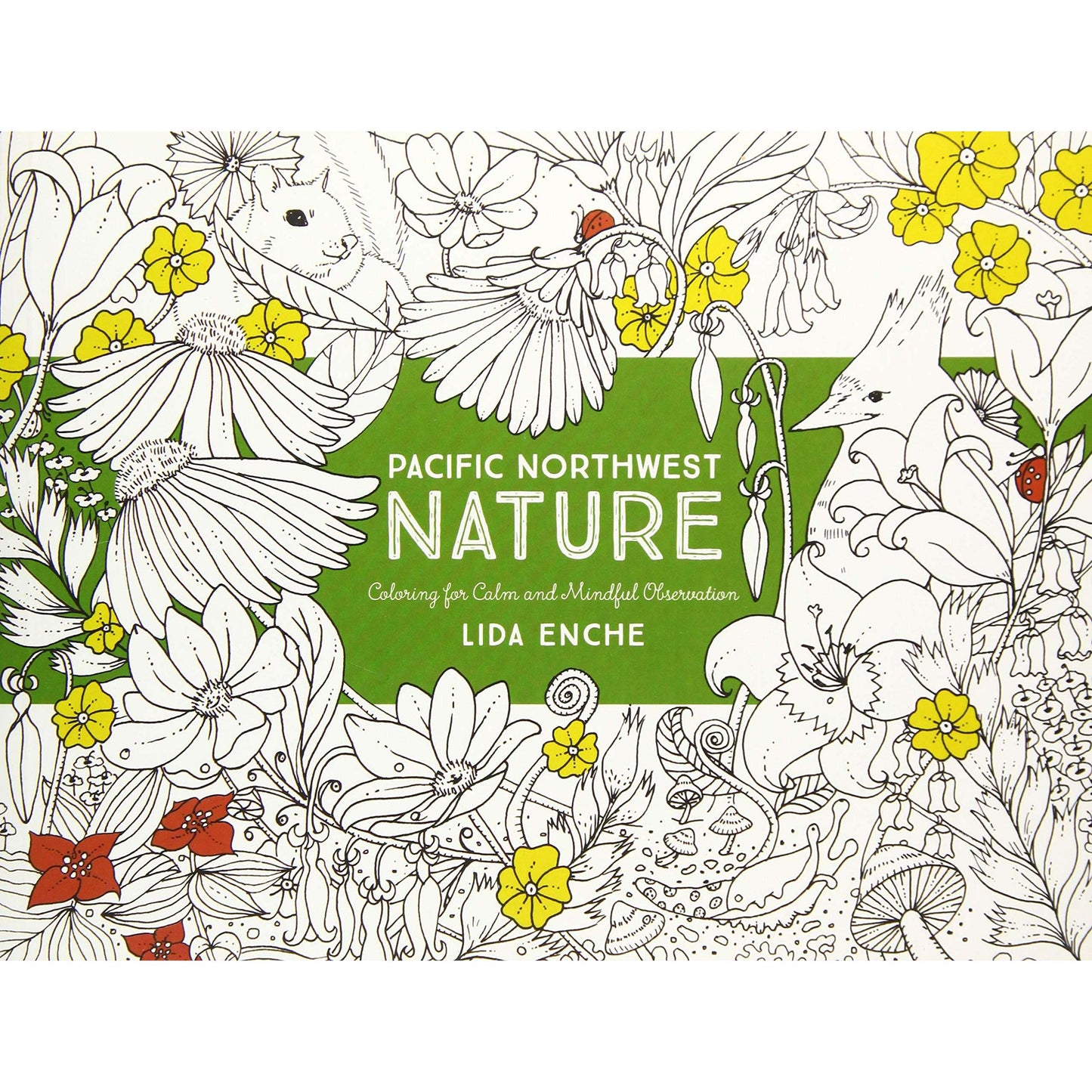 Paradise Clay MOU093 PACIFIC NORTHWEST NATURE Coloring For Calm And Mindful Observation - Book