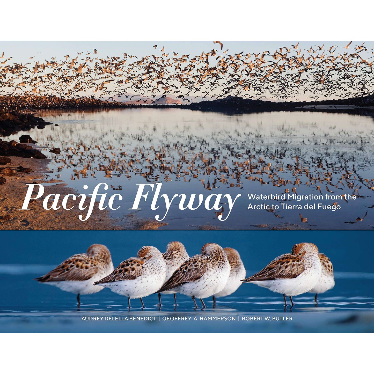 Paradise Clay PGN323 Pacific Flyaway: Waterbird Migration from the Arctic to Tierra del Fuego - Book