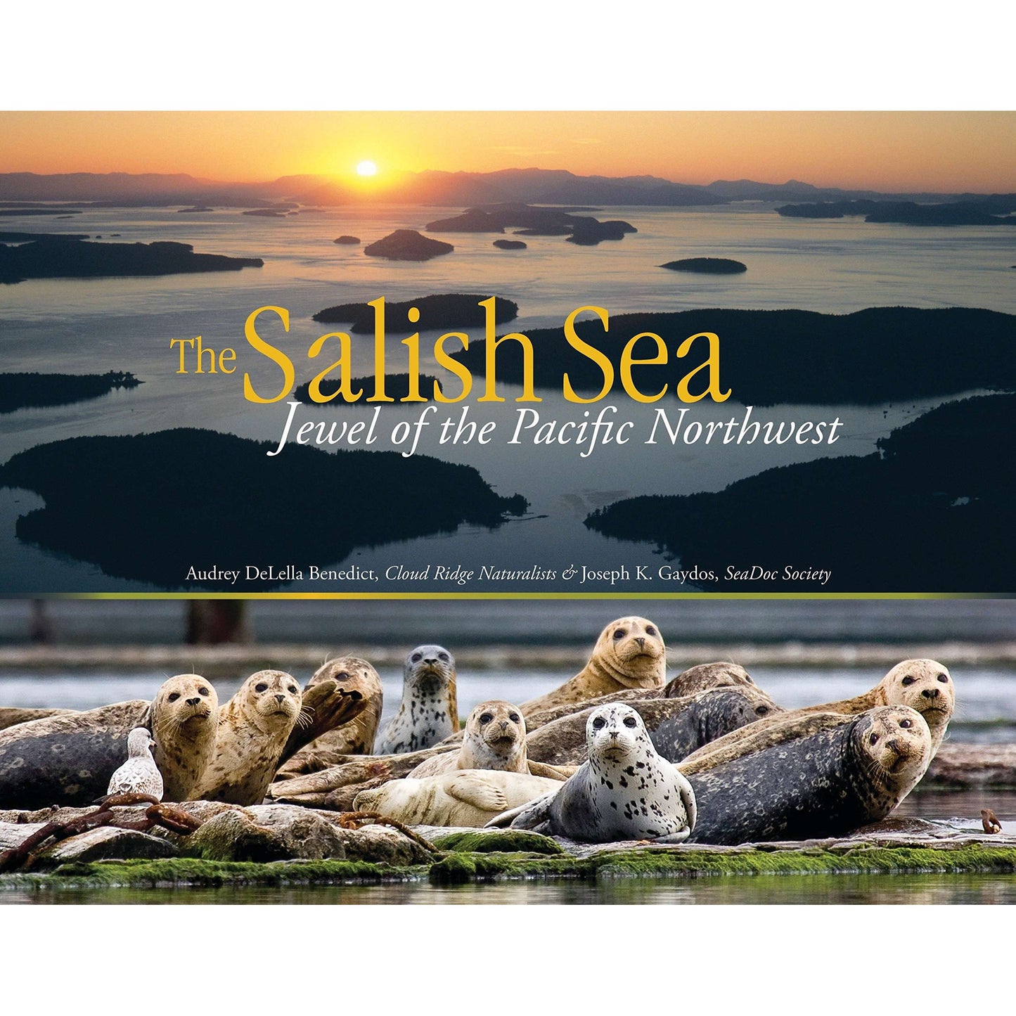 Paradise Clay RAN396 The Salish Sea: Jewel of the Pacific Northwest - Book