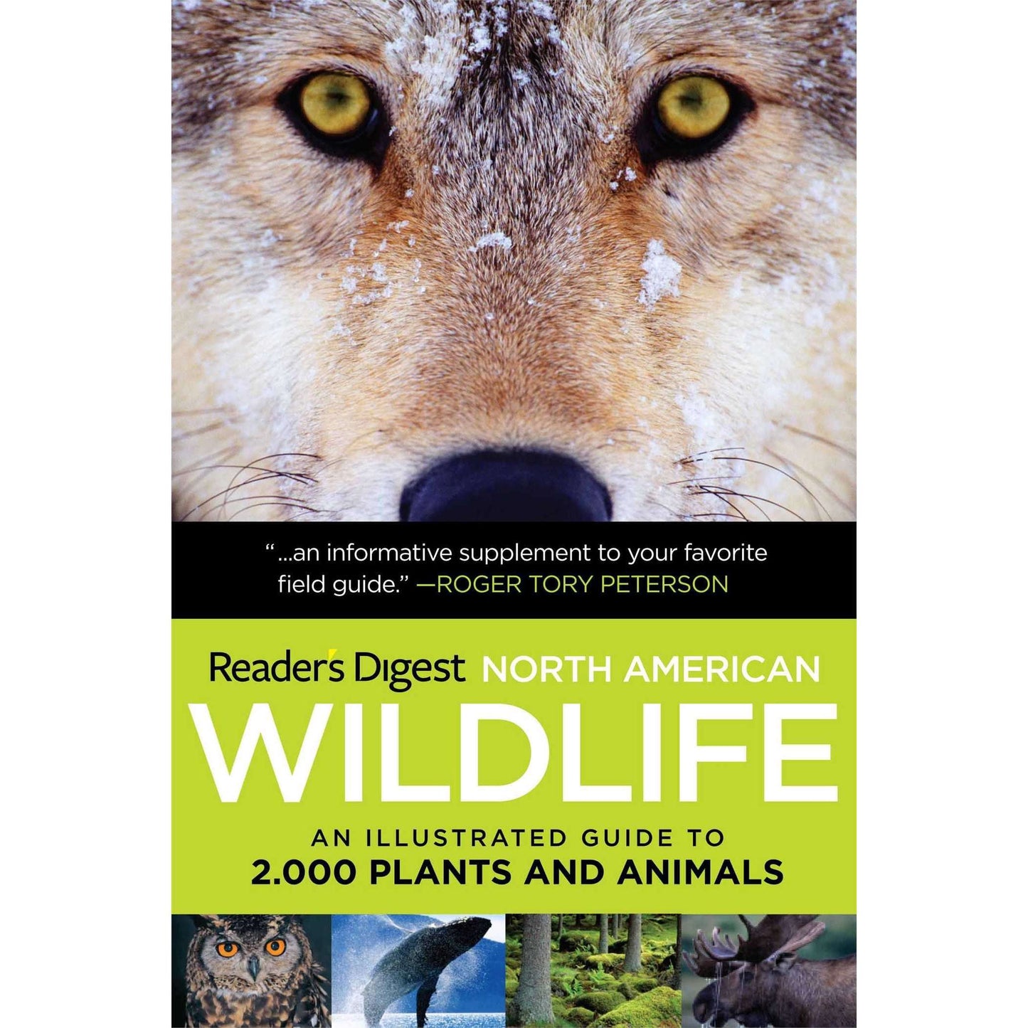 Paradise Clay RDP002 North American Wildlife: An Illustrated Guide to 2,000 Plants and Animals - Book