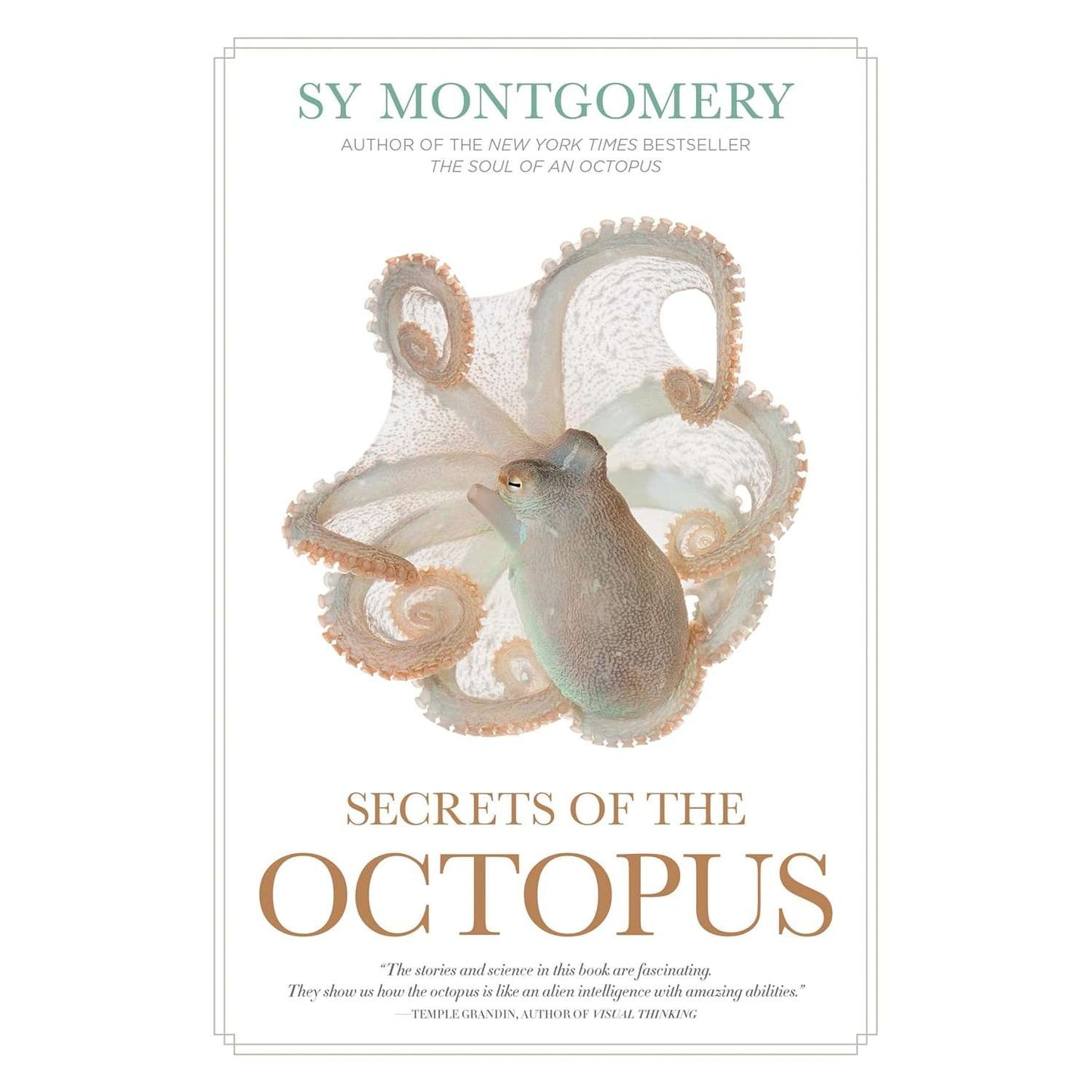 Paradise Clay PGN484 Secrets of the Octopus - Book