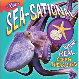 Paradise Clay SIM139 Sea-Sational - Book