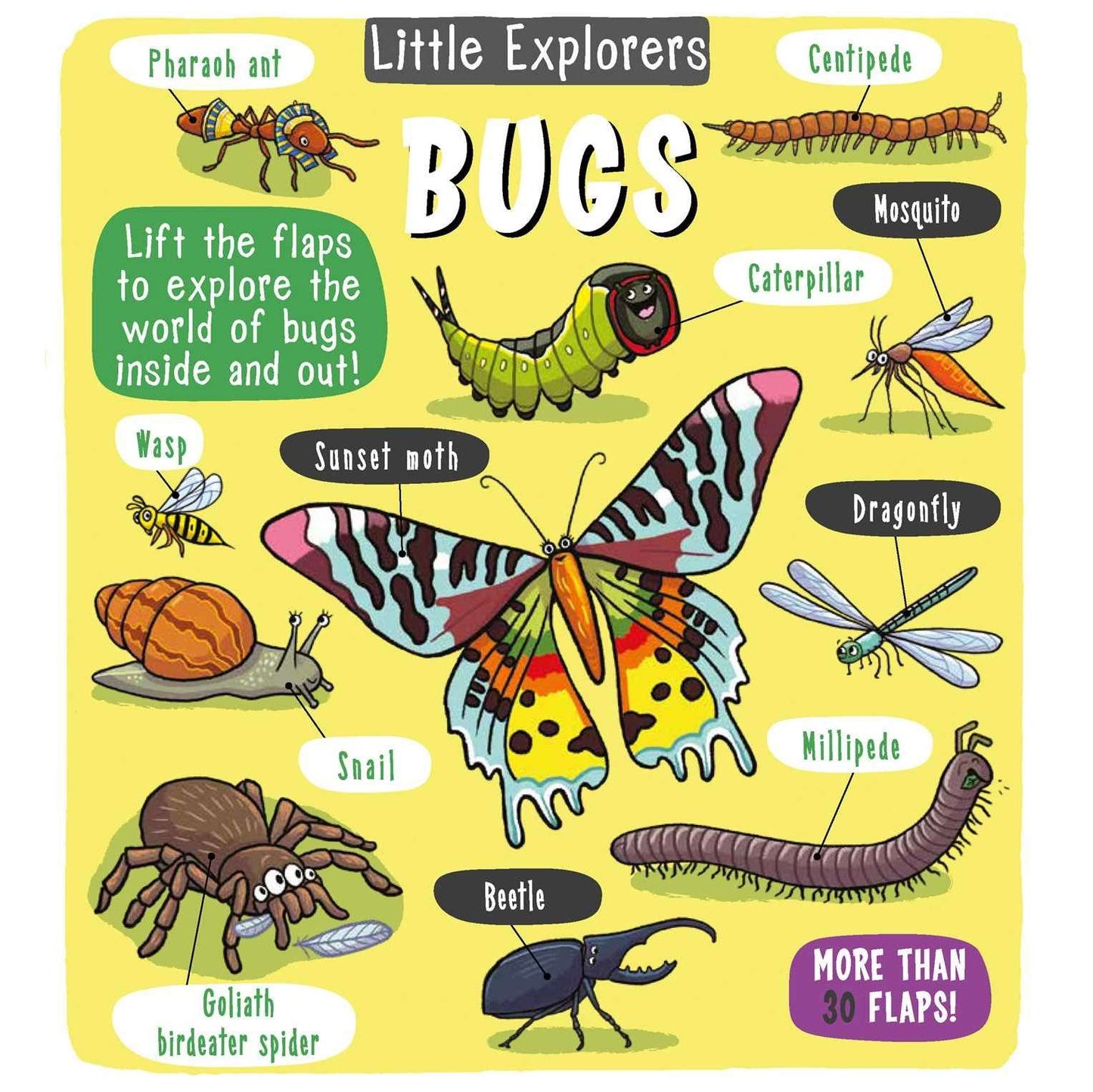 Paradise Clay SIM381 Little Explorers: Bugs - Book