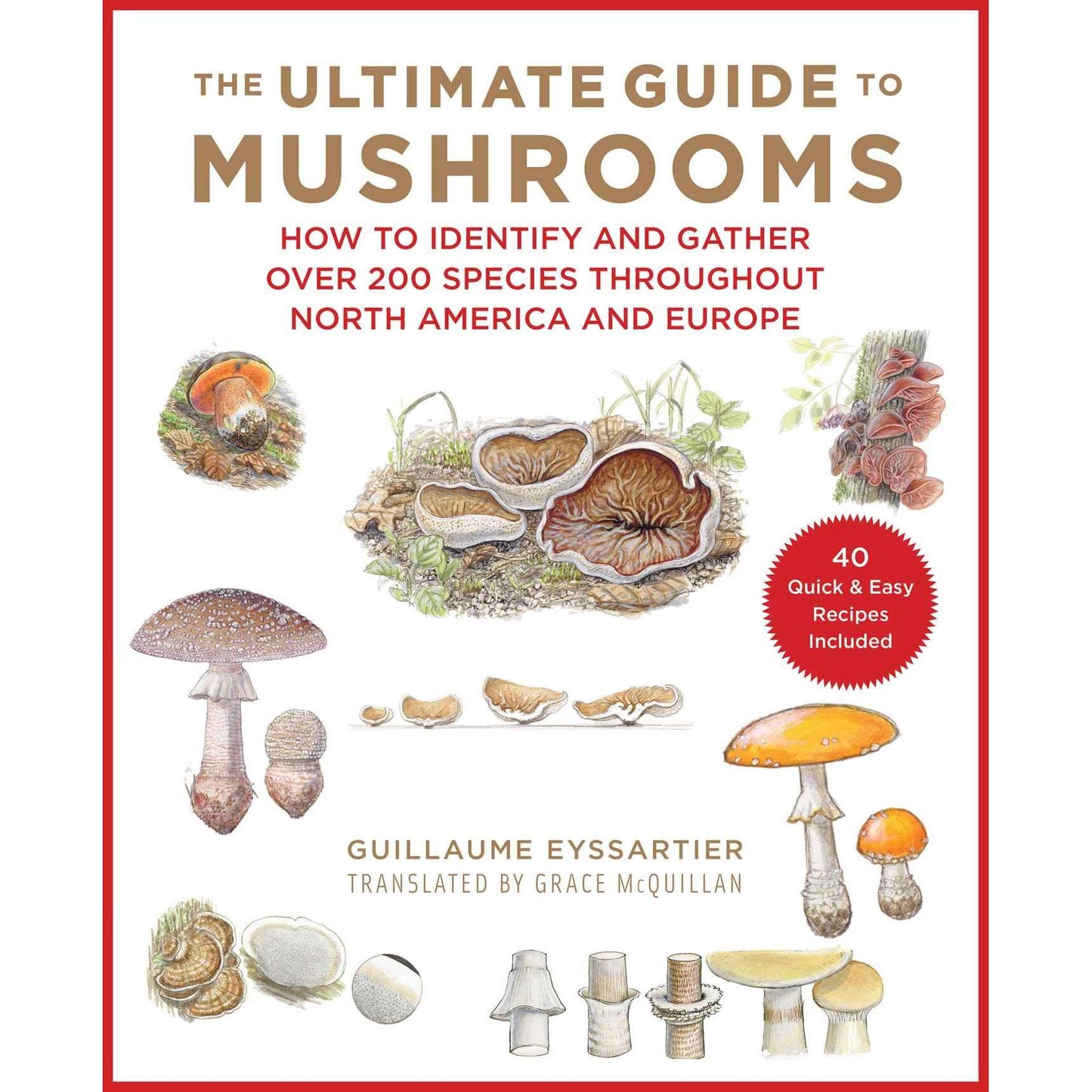 Paradise Clay SKY152 The Ultimate Guide to Mushrooms - Book