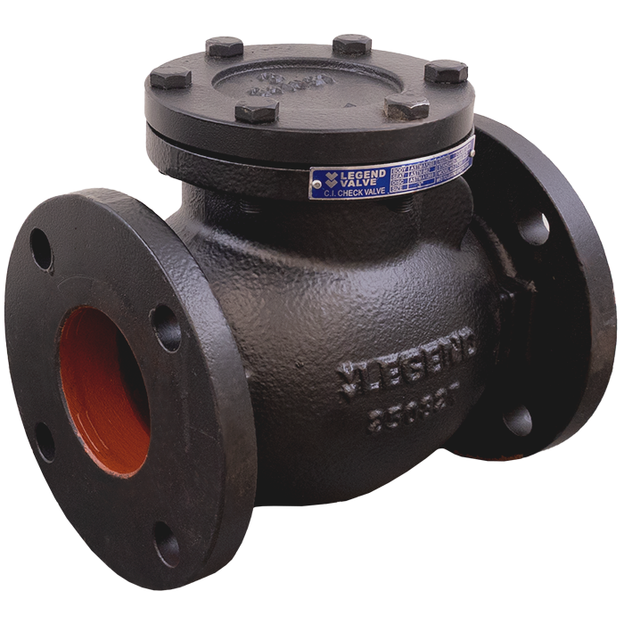 Legend Valves 116-202 2-1/2" Cast Iron Swing Check Valve