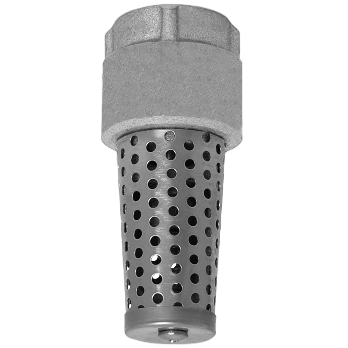 Legend Valves 113-466 1-1/4" 304 Stainless Steel Foot Valve with Screen