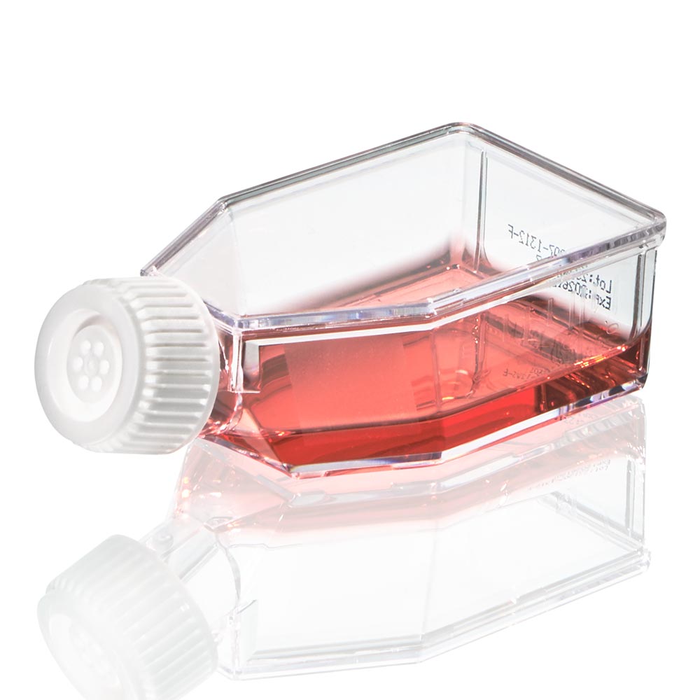 Globe Scientific TC-FLSK-25-V-NT Diamond SureGro Cell Culture Flask Non-treated 50mL Vent Cap Sterile 10/Bag 200/Case