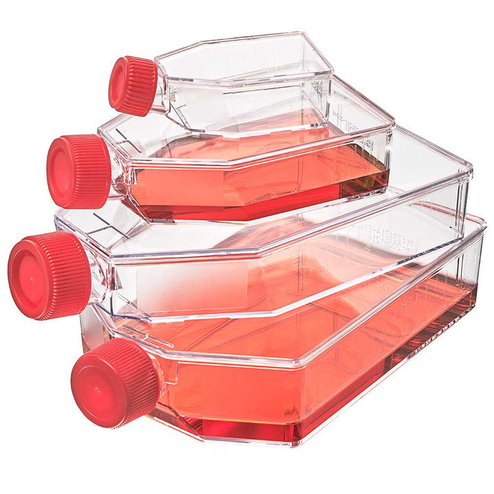Globe Scientific TC-FLSK-75-P Diamond SureGro Cell Culture Flask Tissue Culture Treated 75cm2 Plug Cap Sterile 5/Bag 100/Case