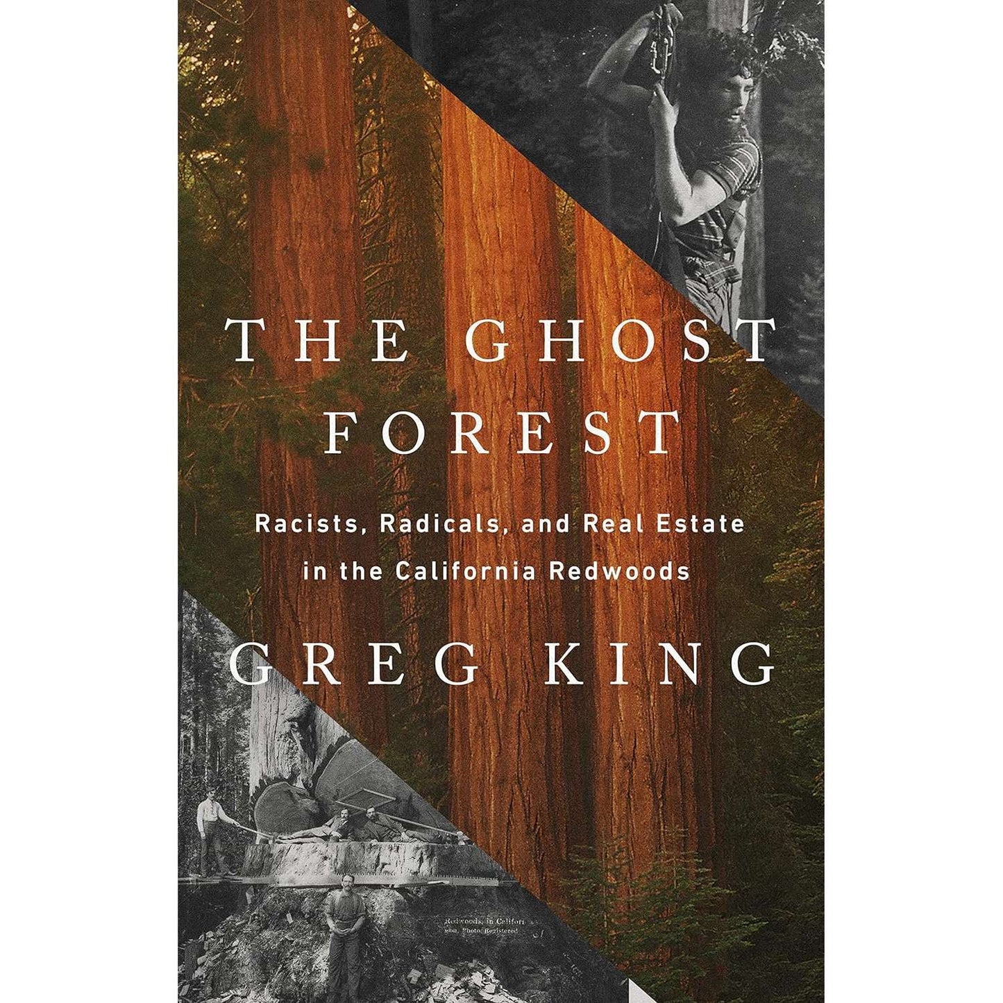 Paradise Clay HCT059 The Ghost Forest - Racists, Radicals, and Real Estate in the California Redwoods - Book