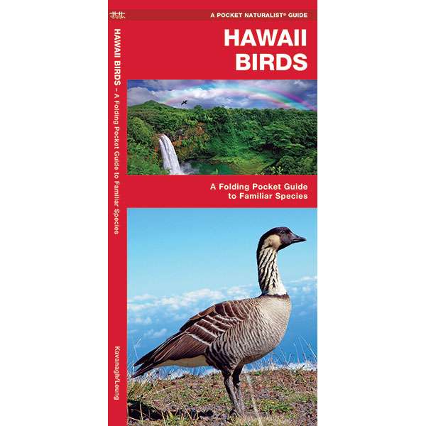 Paradise Clay WFP028 Hawaii Birds - Folding Pocket Guide