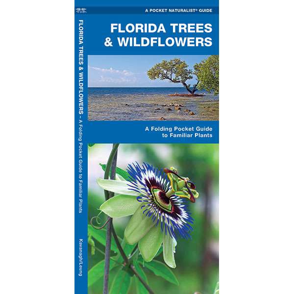 Paradise Clay WFP035 Florida Trees & Wildflowers - Folding Pocket Guide