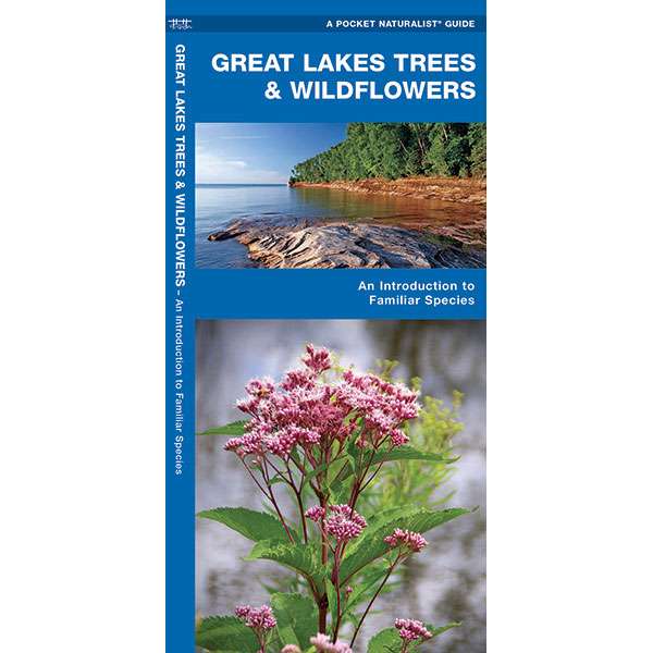 Paradise Clay WFP045 Great Lakes Trees & Wildflowers - Folding Pocket Guide