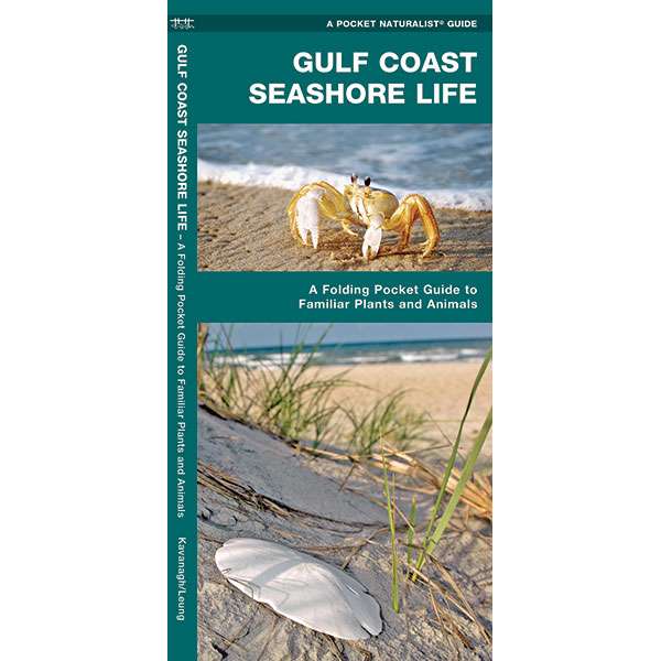 Paradise Clay WFP047 Gulf Coast Seashore Life - Folding Pocket Guide
