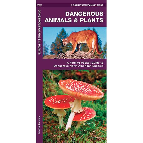 Paradise Clay WFP053 Dangerous Animals & Plants - Folding Pocket Guide