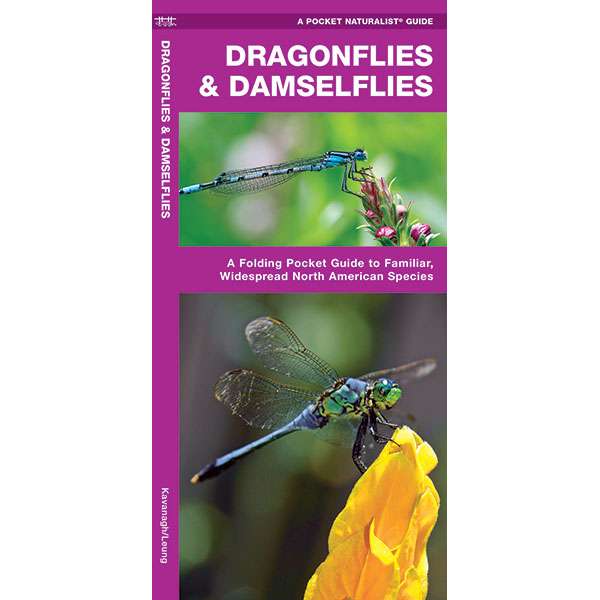 Paradise Clay WFP057 Dragonflies & Damselflies - Folding Pocket Guide