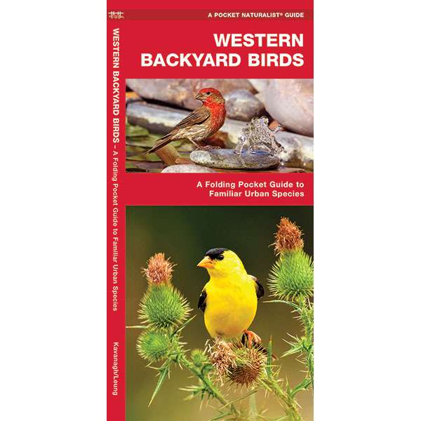 Paradise Clay WFP060 Western Backyard Birds - Folding Pocket Guide