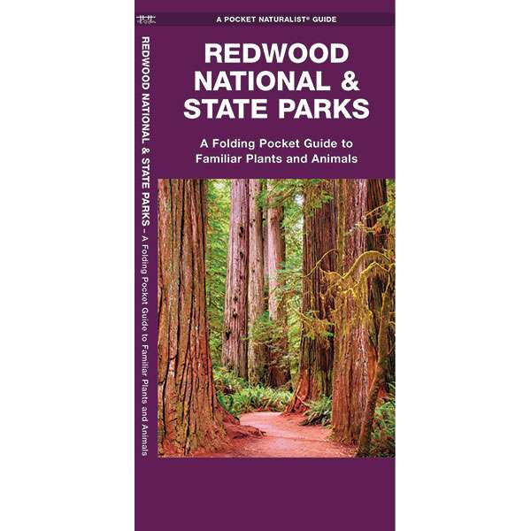 Paradise Clay WFP066 Redwood National & State Parks - Folding Pocket Guide