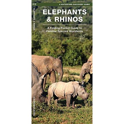 Paradise Clay WFP148 Elephants & Rhinos: A Folding Pocket Guide to the Status of Familiar Species - Folding Pocket Guide