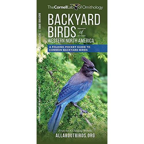 Paradise Clay WFP150 Backyard Birds of Western North America: A Folding Pocket Guide to Common Backyard Birds - Folding Pocket Guide