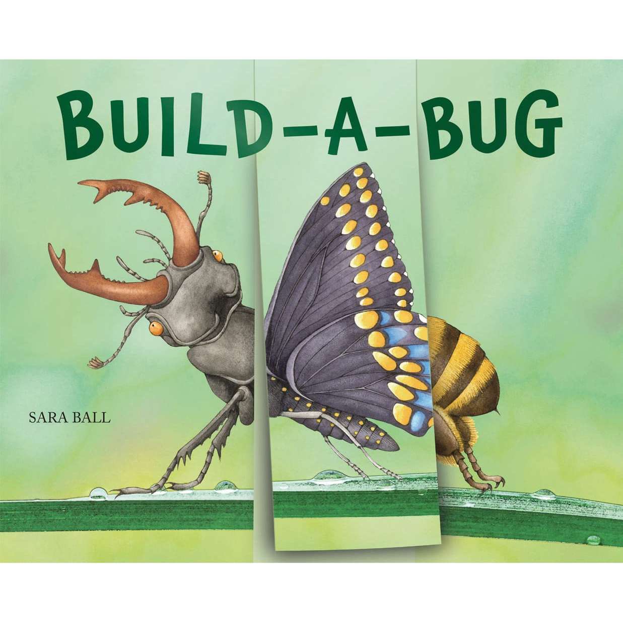 Paradise Clay WWN857 Build-a-Bug - Book