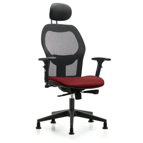 Blue Ridge Ergonomics EXE-VMDHCH-RG-H1-A2-RG-8815 Executive Windova Mesh Back Chair with Borscht Supernova™ Seat, Head Rest, 3D Adjustable Arms, & Stationary Glides