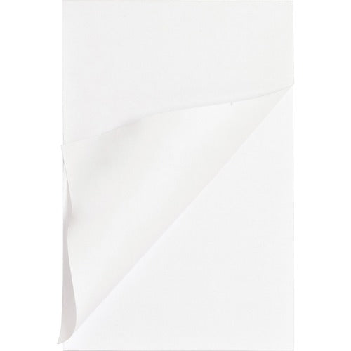 Business Source BSN65901 Plain Memo Pads