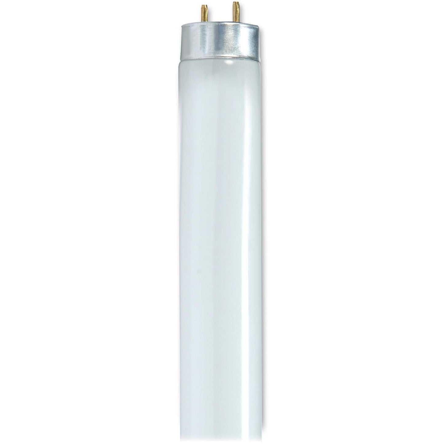 Satco SDNS8440 25W T8 4100K Fluorescent Bulb