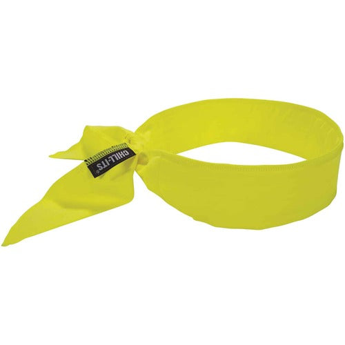 Ergodyne EGO12397 6702 Cooling Bandana