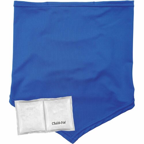 Ergodyne EGO42135 6482 Cooling Neck Gaiter Bandana with Rechargeable Phase Change Ice Packs