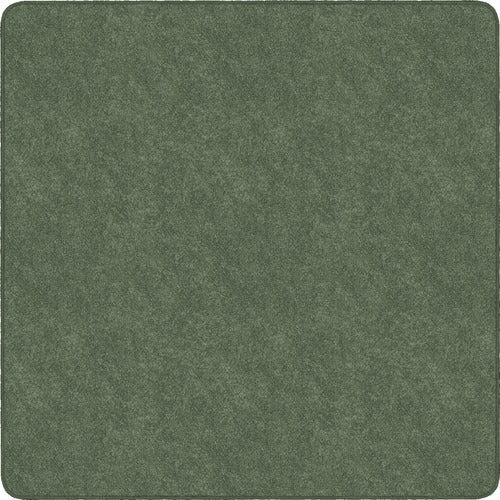 Flagship Carpets FCITS26SG Amerisoft Solid Color Rug