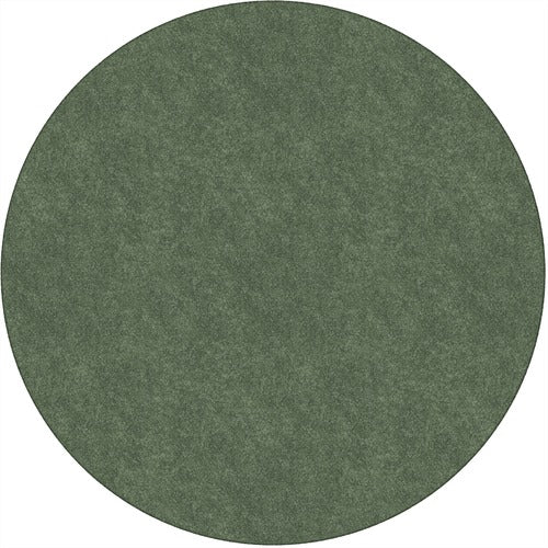 Flagship Carpets FCITS27SG Amerisoft Solid Color Rug