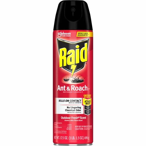 Raid SJN386220CT Ant & Roach Killer Spray
