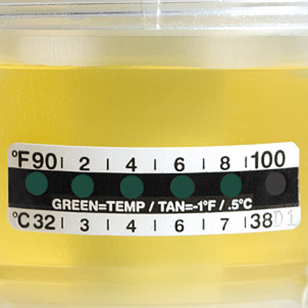 Globe Scientific 112215 Thermometer Strips Graduated in both Fahrenheit (90-100°) and Celsius (32-38°)