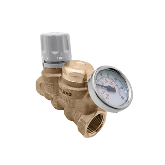 Caleffi 116160A ThermoSetter™Adjustable Thermal Balancing Valve 1" FNPT