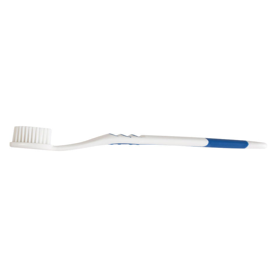 Tess Corporation 11955 Pre-pasted Disposable Adult Toothbrush – Bulk