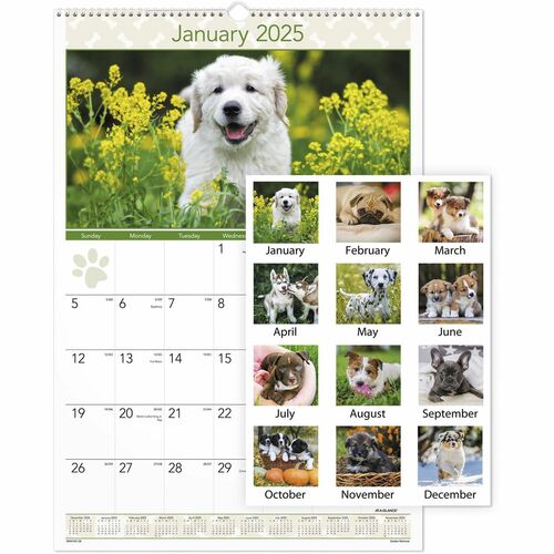 At-A-Glance AAGDMW16728 Puppies Wall Calendar