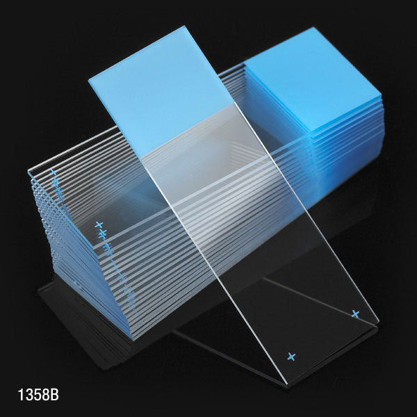 Globe Scientific 1358B Microscope Slides Diamond White Glass 25 x 75mm Charged 90° Ground Edges Blue Frosted 72/Box 20 Boxes/Case (10 Gross)